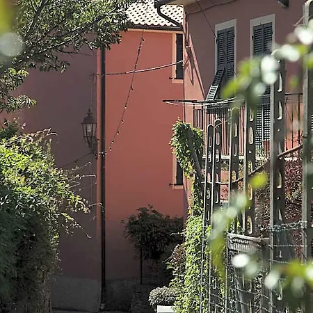 Nonna Maria, Tra Mare E Ulivi