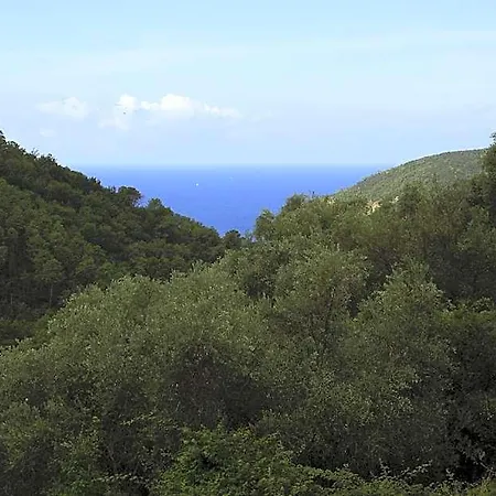 Nonna Maria, Tra Mare E Ulivi Moneglia